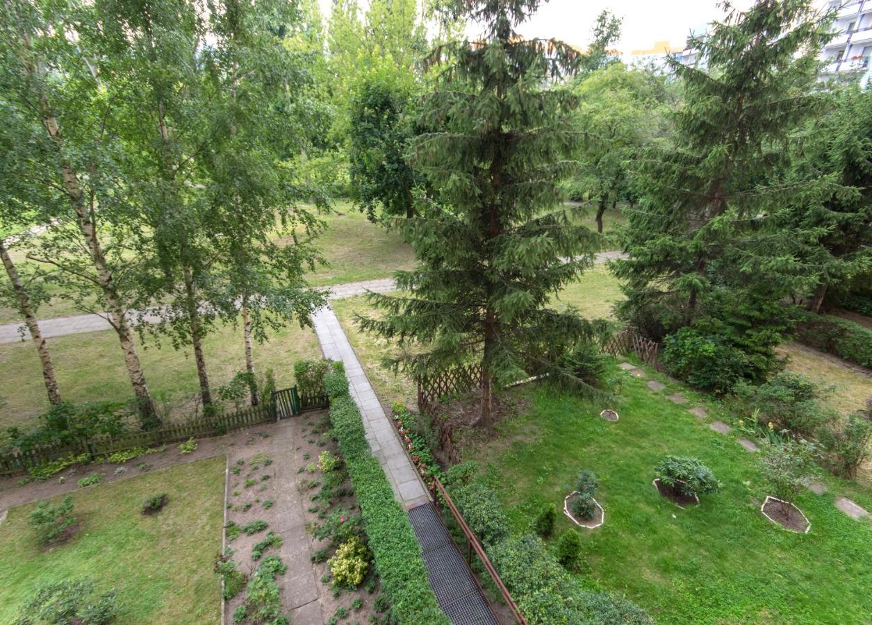 Appartement 1 Chambre