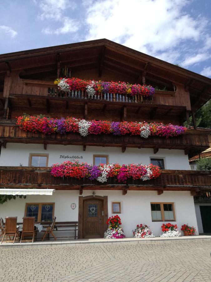 B&B Alpbach - Alpbachblick - Bed and Breakfast Alpbach