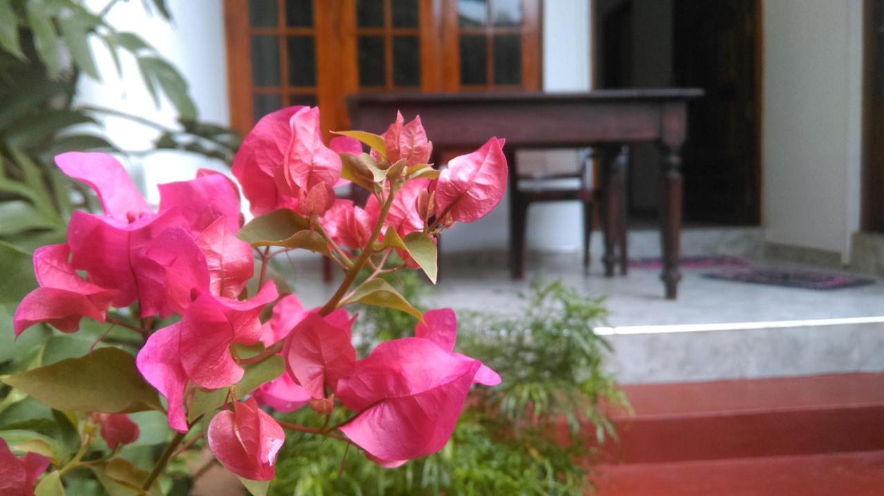 Aluthgedara Guest House - Chambres d’hôtes