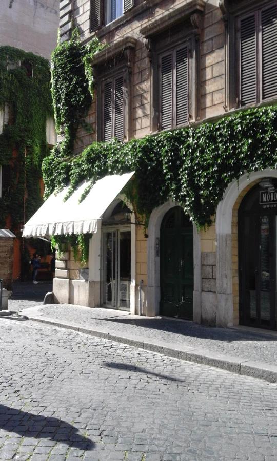 B&B Roma - appartamento " il piccolo ' - Bed and Breakfast Roma