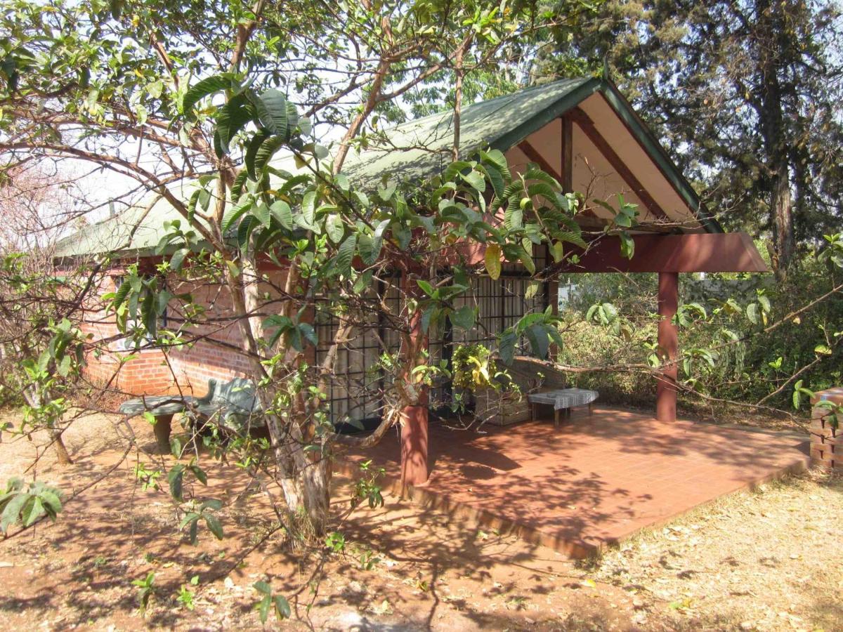 Superior Twin Room with Garden View