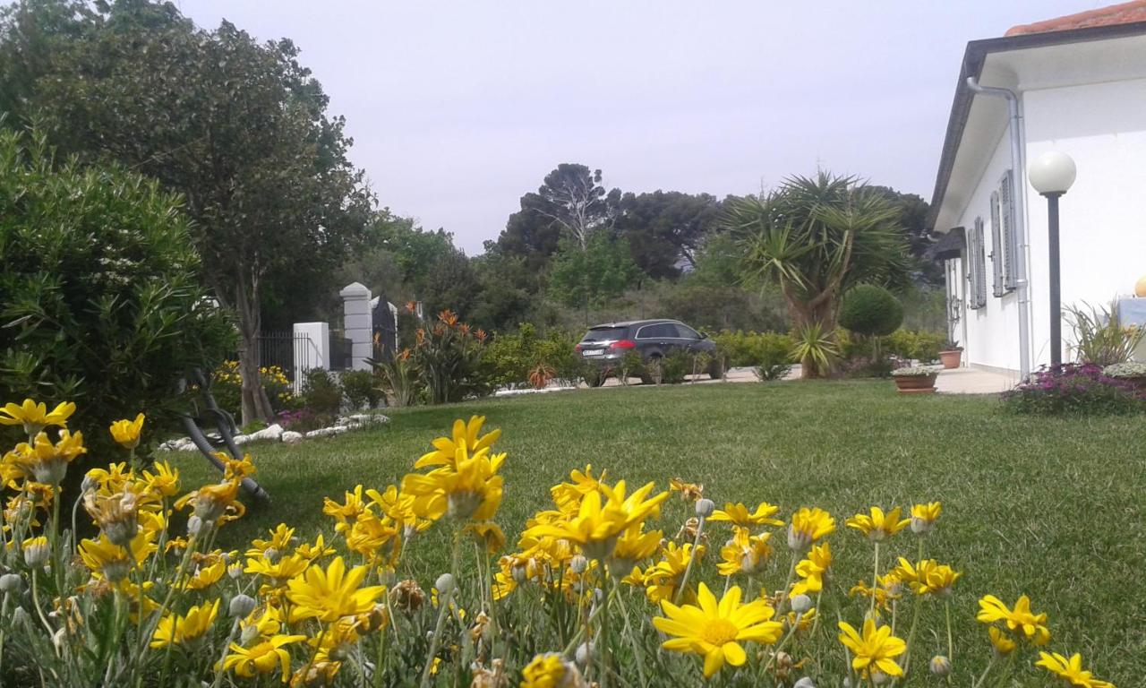 Villa Shambhala - B&B San Bartolomeo al Mare