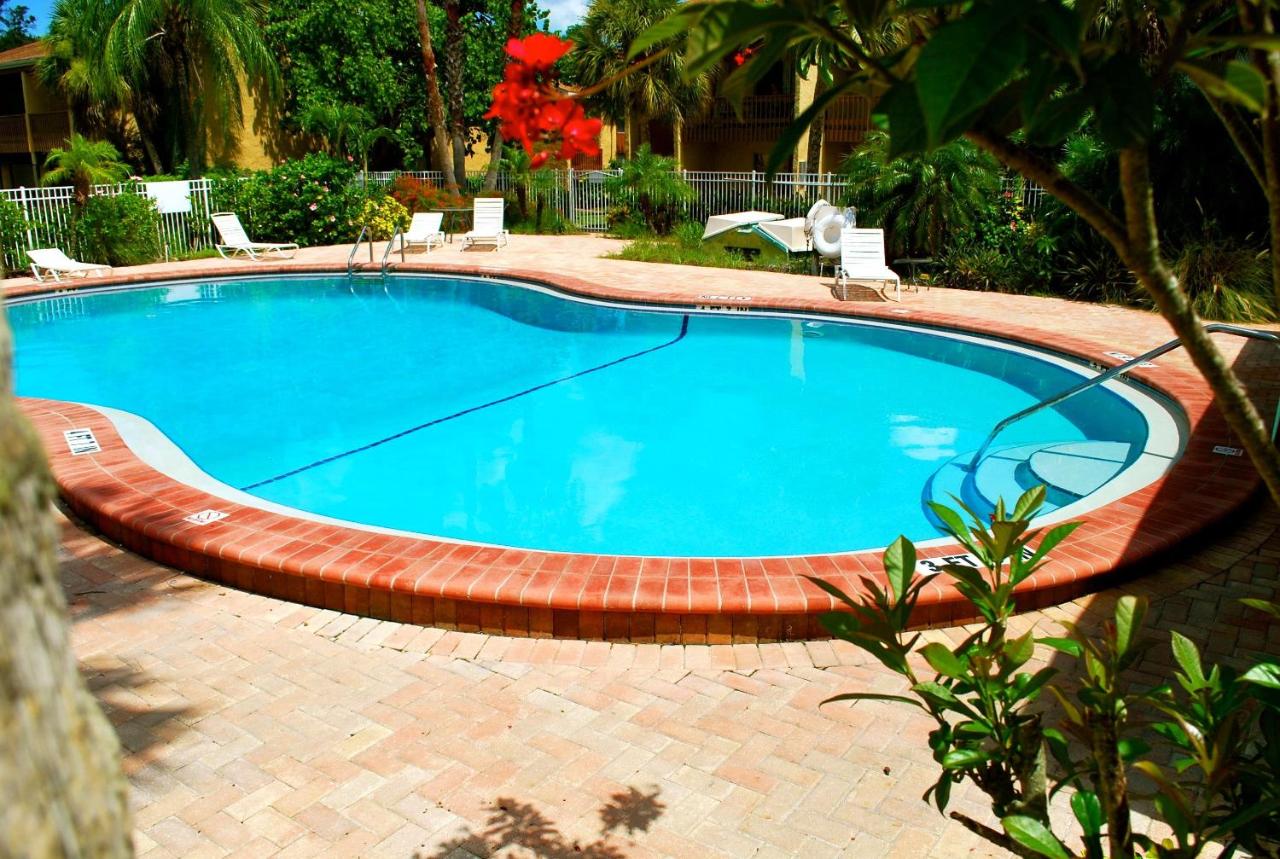 1+1 Large condo Sarasota - B&B