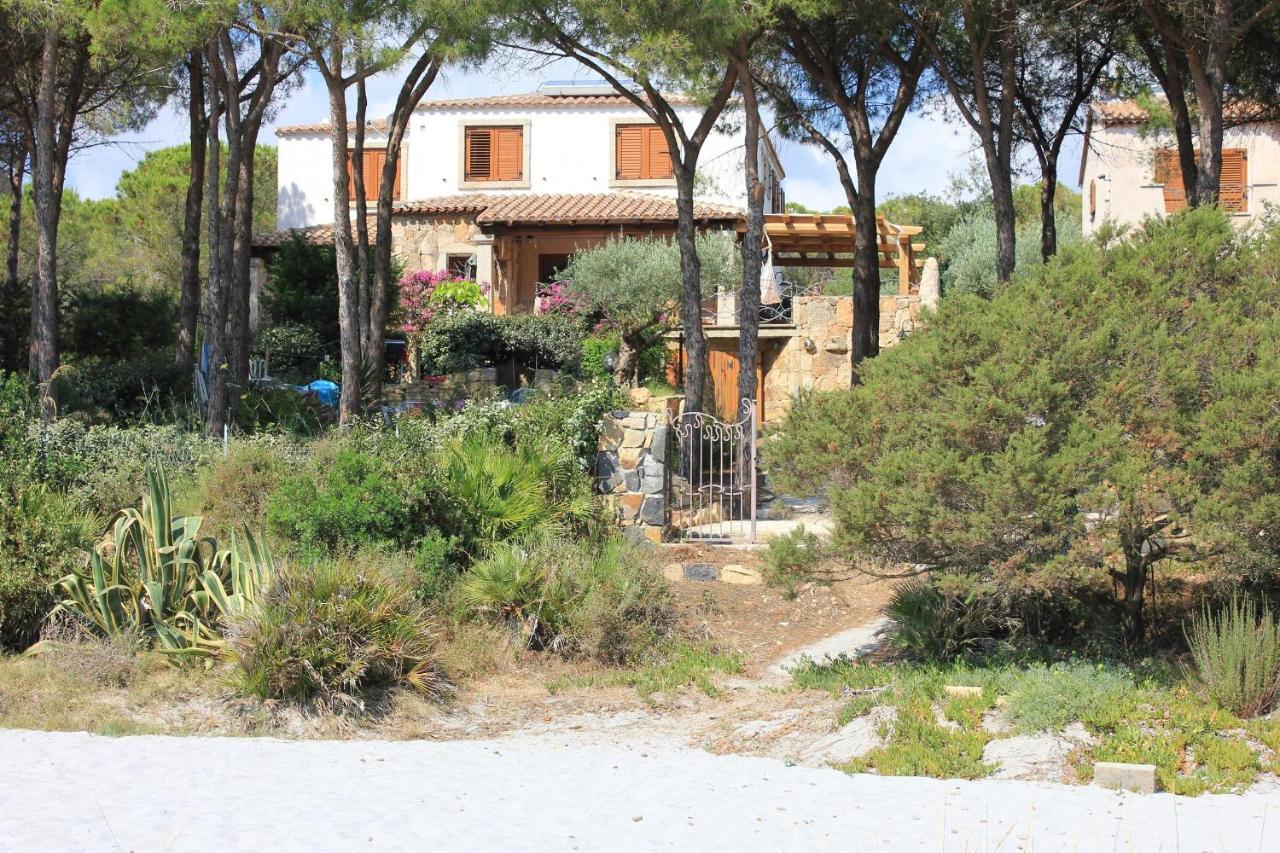 Casa Degli Ulivi - B&B