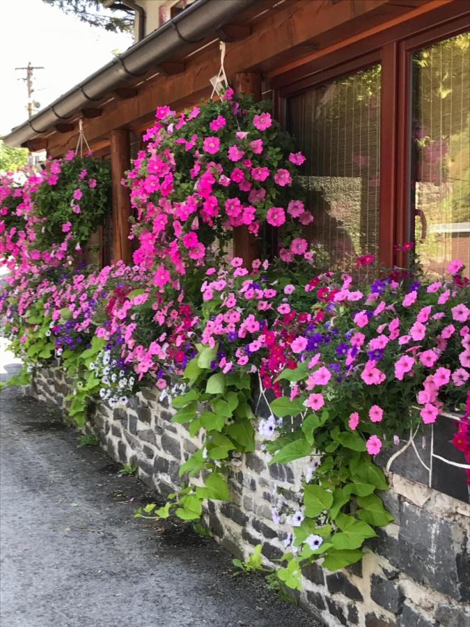 Penzión Holub - B&B