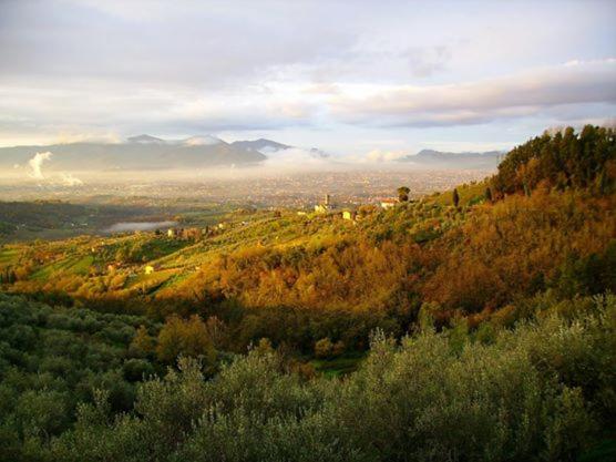 Casa Teresina - B&B Collodi