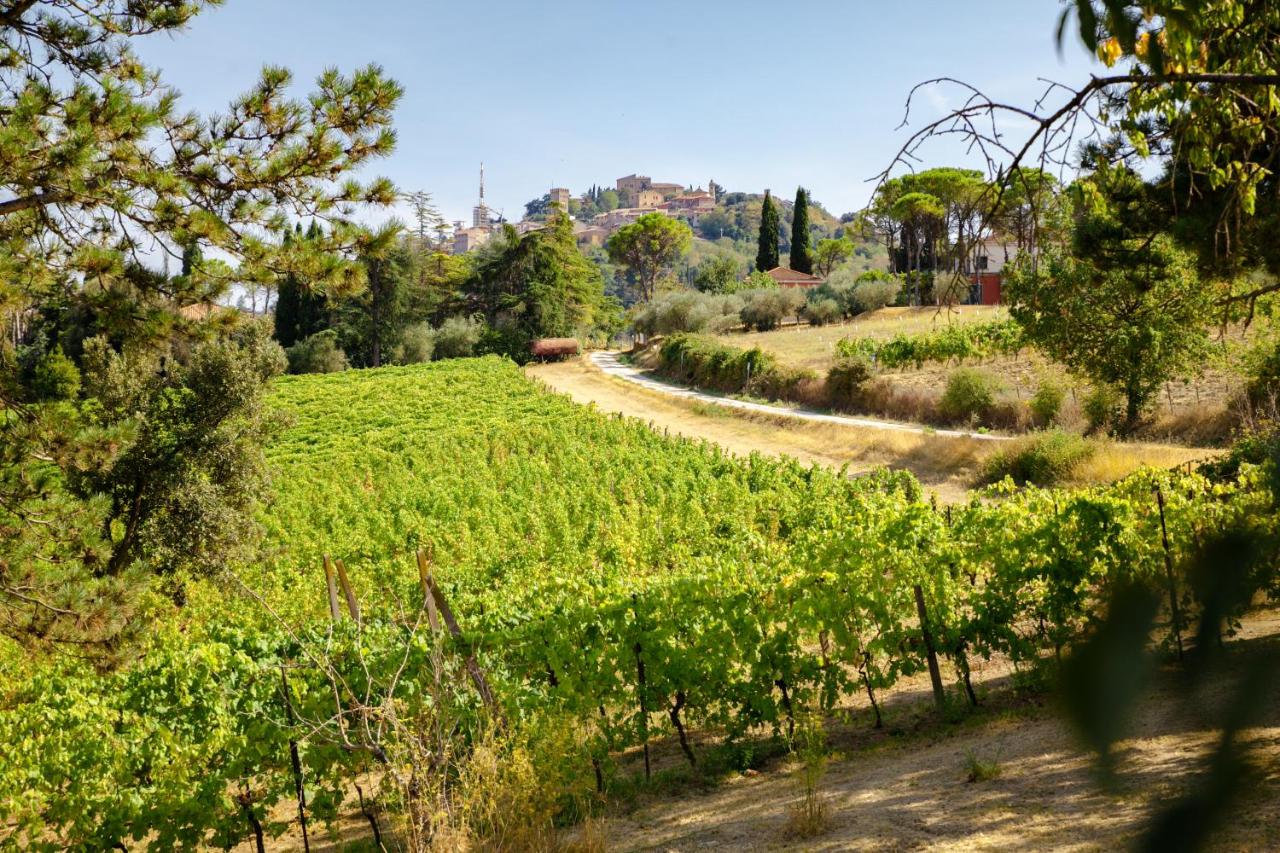 B&B Bertinoro - RomagnaBNB Il Vigneto Cottage - Bed and Breakfast Bertinoro