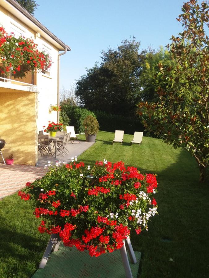 Ma maison fleurie proche AEROPORT LYON ST EXUPERY, LDLC ARENA, Groupama Stadium,Eurexpo - B&B Janneyrias