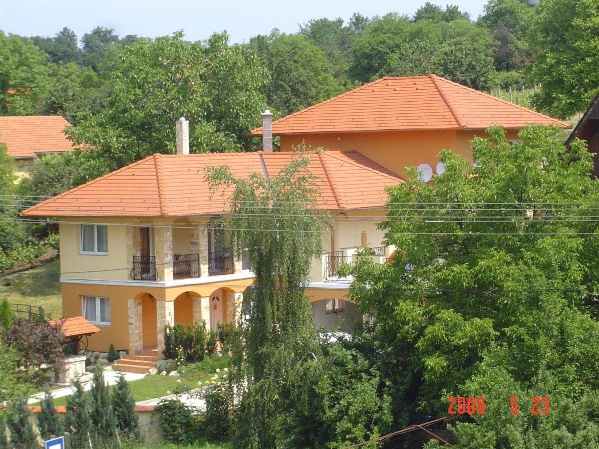 B&B Sarvar - Janus Apartman - Bed and Breakfast Sarvar