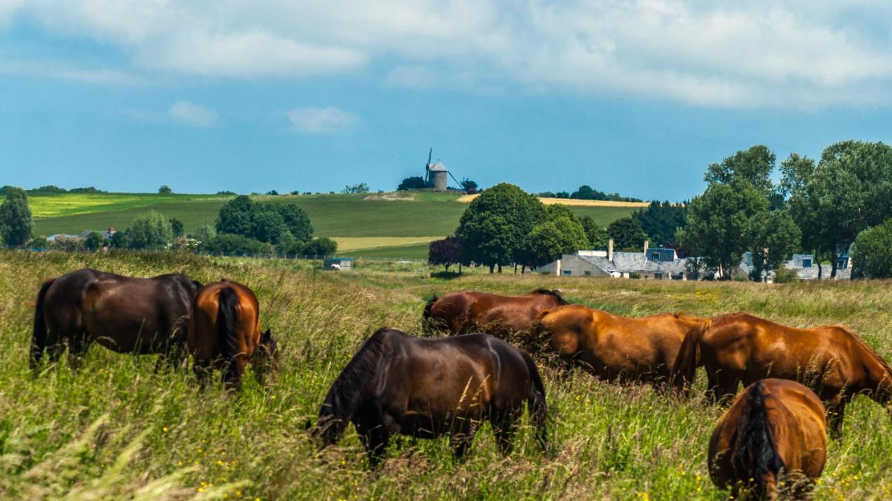 gite Tombelaine - B&B Pontorson