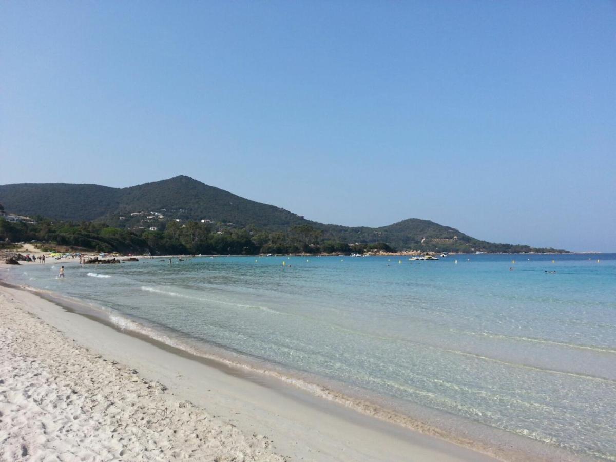 T2 de 45 m2 sur Porticcio avec Jardin - B&B Porticcio