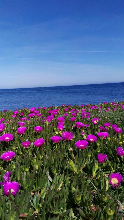Casa Apartamento entre Mar y Montaña - B&B Denia
