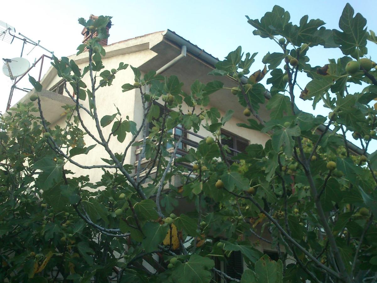 Garden Apartment Braut - B&B Kornić