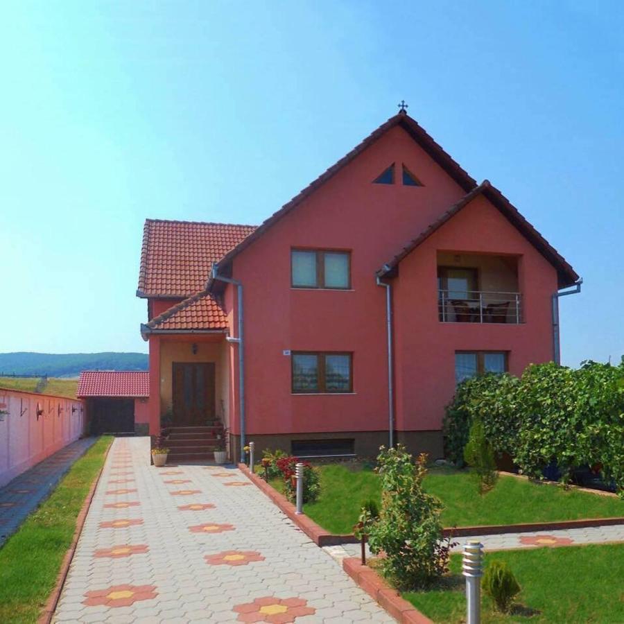 B&B Petrești - Vila La Izvor - Bed and Breakfast Petrești