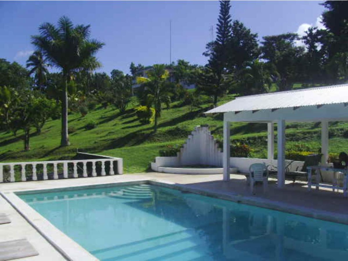 B&B Port Antonio - Shotover Gardens Estate - Bed and Breakfast Port Antonio