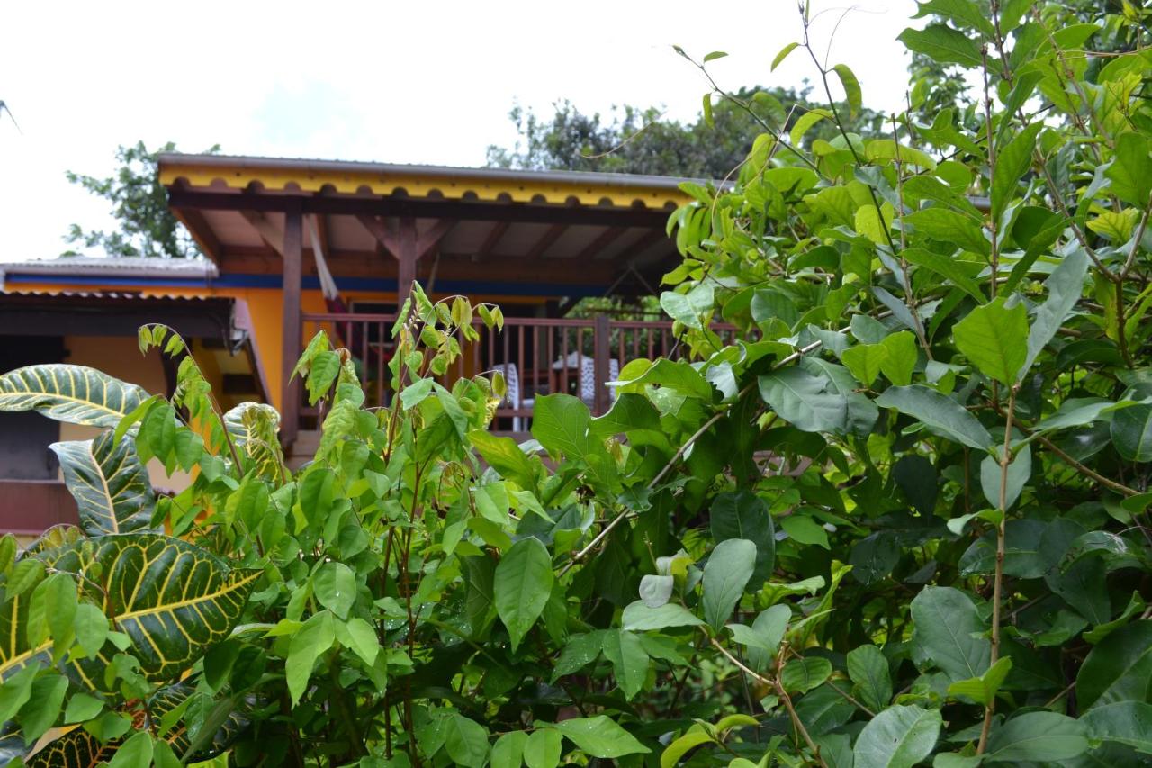 Two-Bedroom Apartment with Terrace