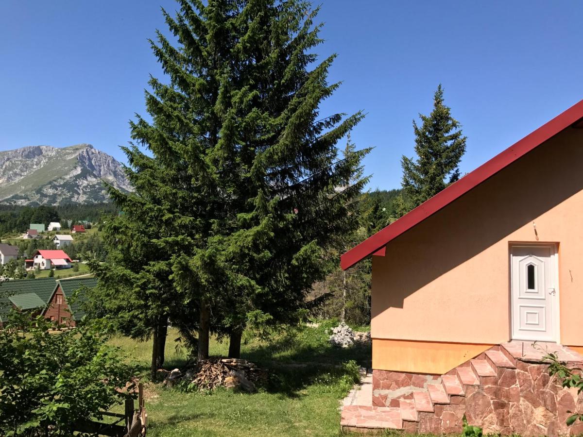 B&B Zabljak - Durmitor Apartments Holiday - Bed and Breakfast Zabljak