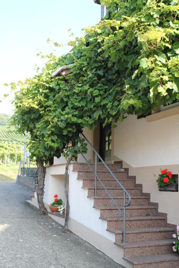 No. 73 - Idylle im Rebenmeer - Ferienwohnung