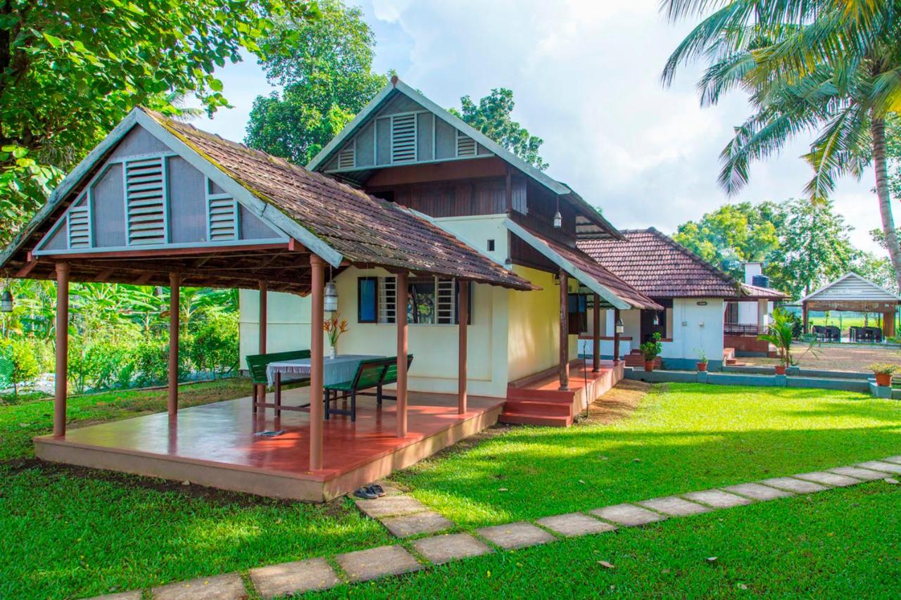 B&B Ambalapuzha - Kurialacherry House Alleppey - Bed and Breakfast Ambalapuzha