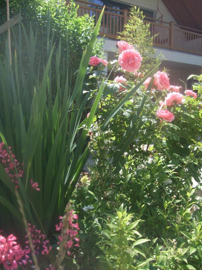 Oak Tree Apartment - Tölgy Lak Apartman és Szauna - B&B Pilisszentkereszt