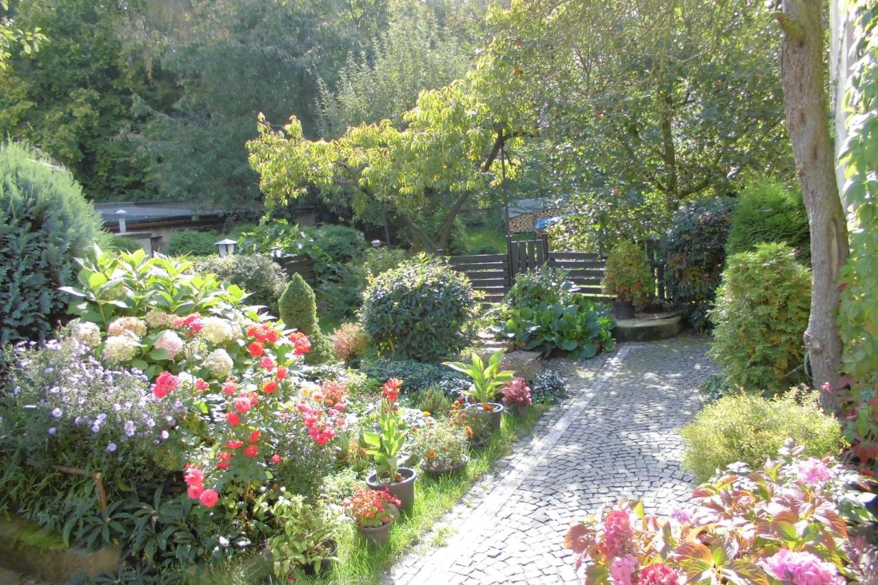 Apartmán v secesní vile - B&B Úpice