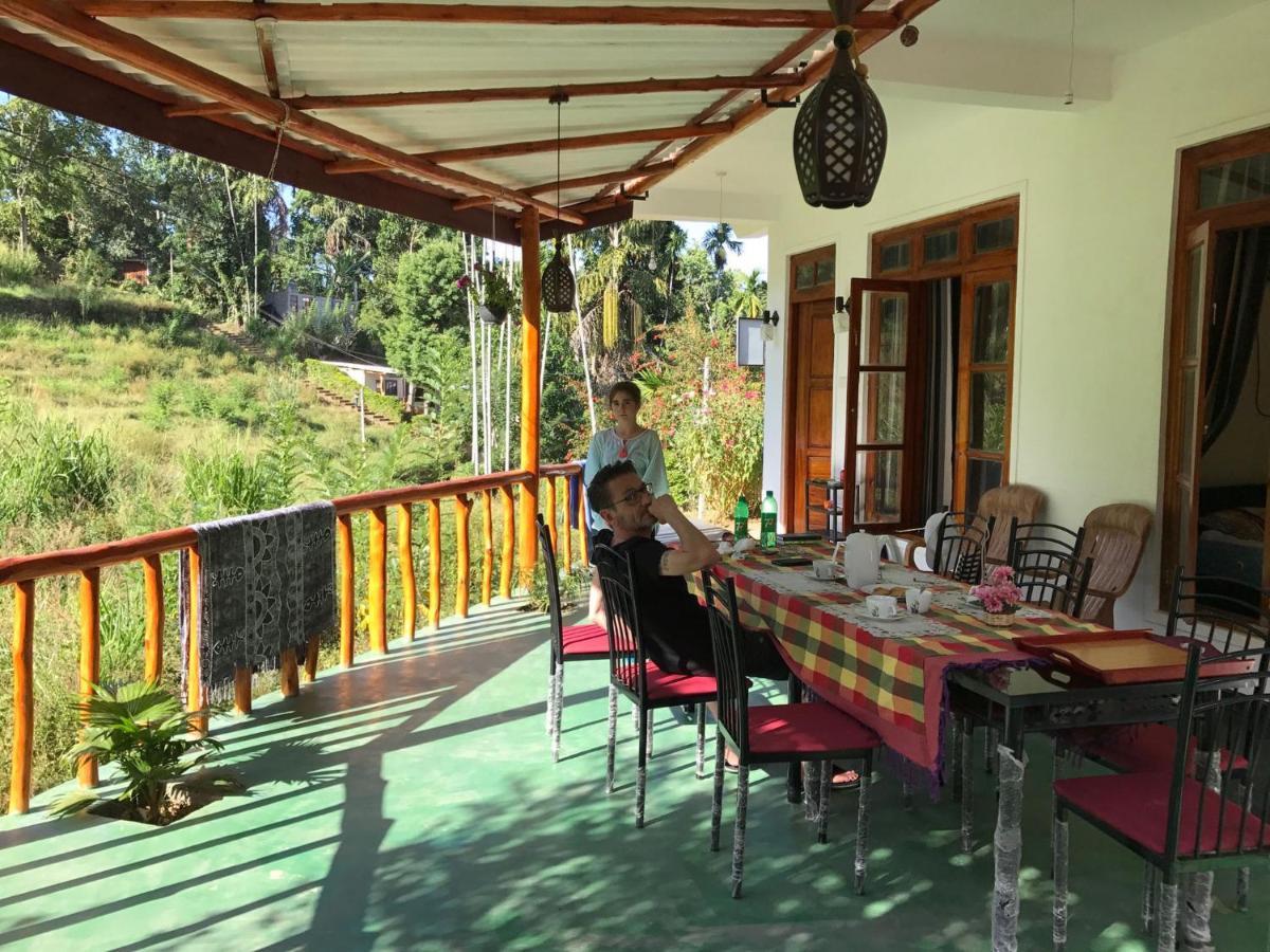 Serenity Homestay - B&B