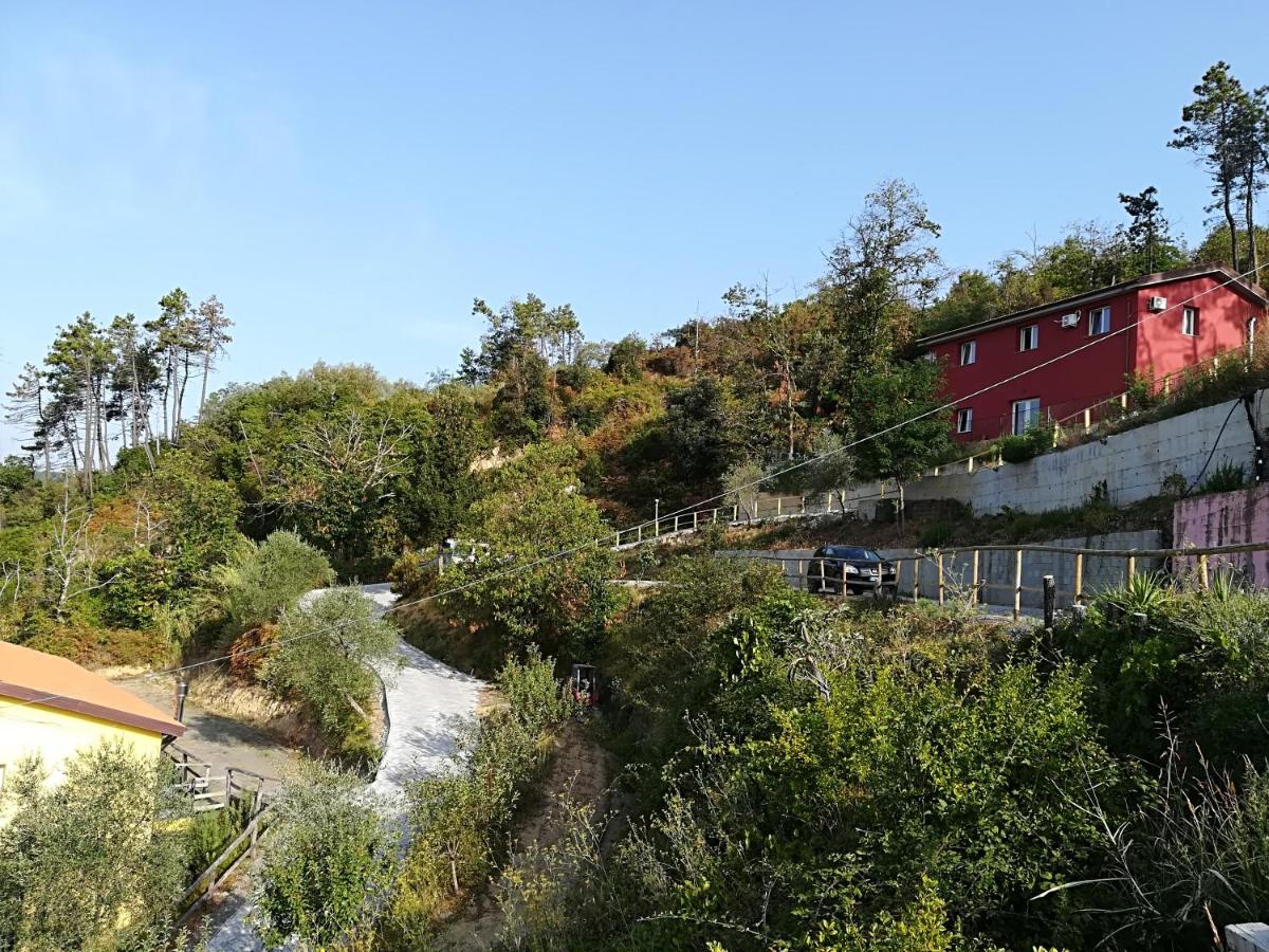 I Gelsi e i Castagni - B&B Polverara