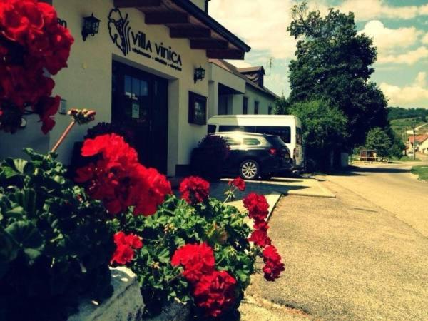 Villa Vinica - B&B Limbach