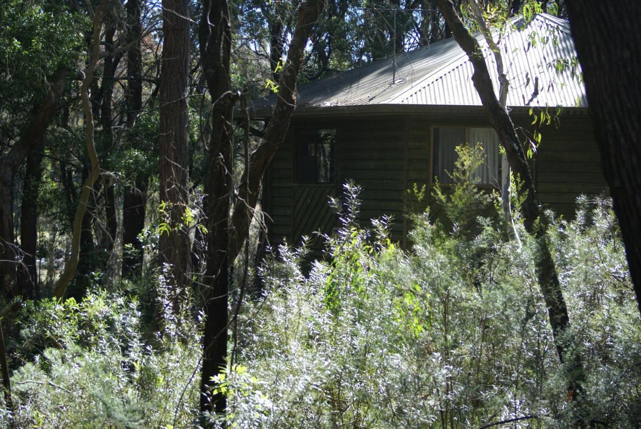 B&B Fitzroy Falls - Twin Falls Bush Cottages - Bed and Breakfast Fitzroy Falls