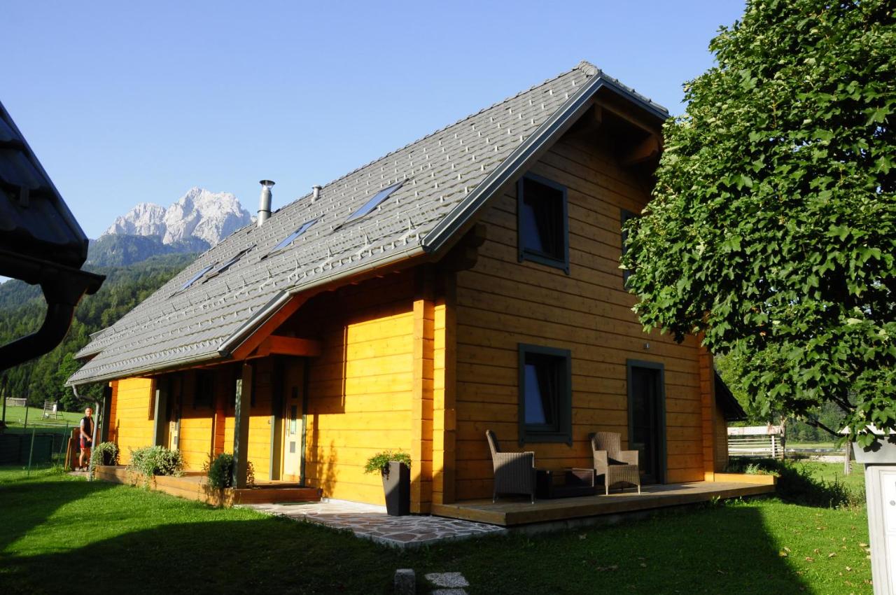 Apartment Jeršin - B&B
