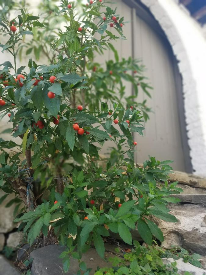 Lori's traditional house - B&B