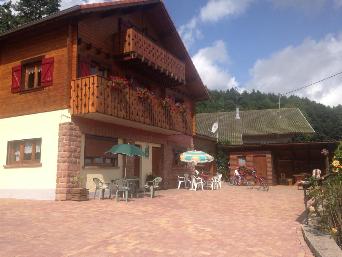 Gites Les Pins et Les Bruyères - Ferienwohnung