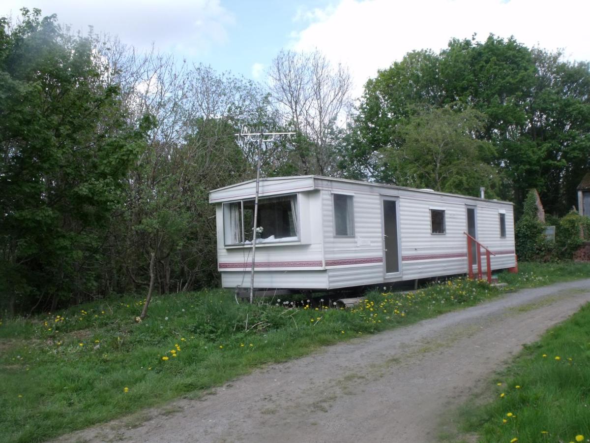 B&B Bala - caravan nestled away amongst trees on edge of farm yard - Bed and Breakfast Bala