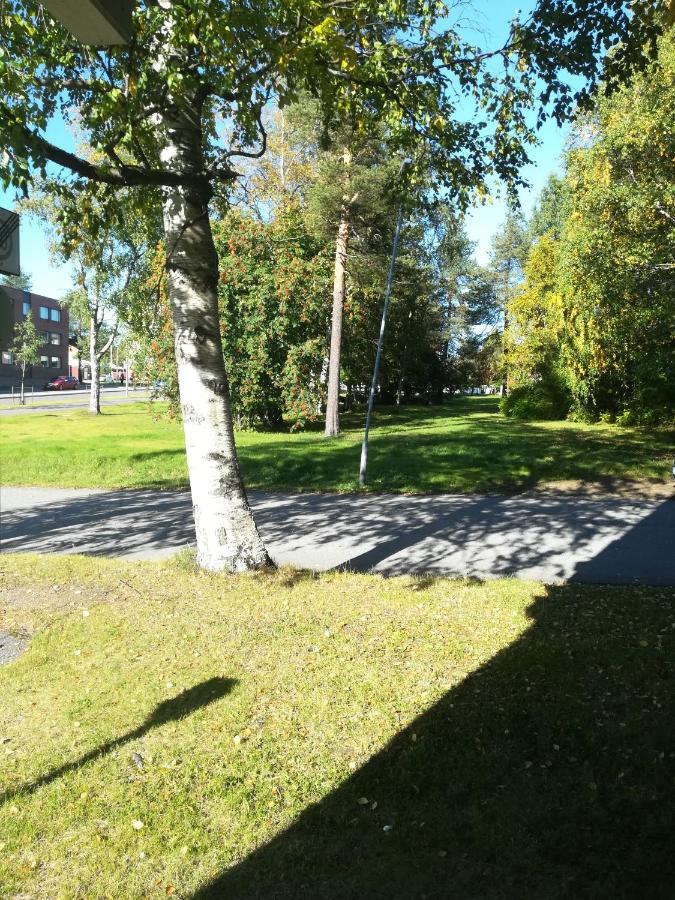 Arctic Home, in the city centre, free parking - Chambres d’hôtes Rovaniemi