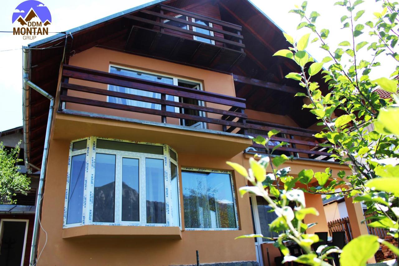 B&B Buşteni - Casa DDM Daniel - Bed and Breakfast Buşteni