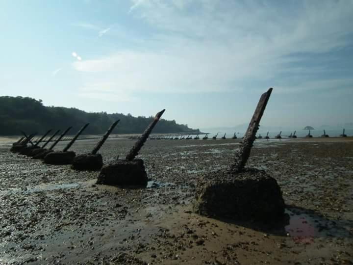 Large Double or Twin Room