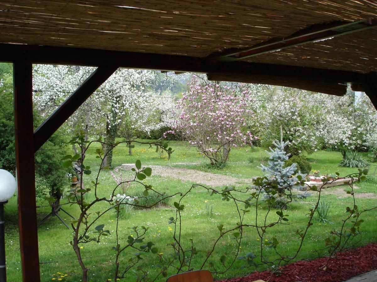 Guest House Čater - B&B