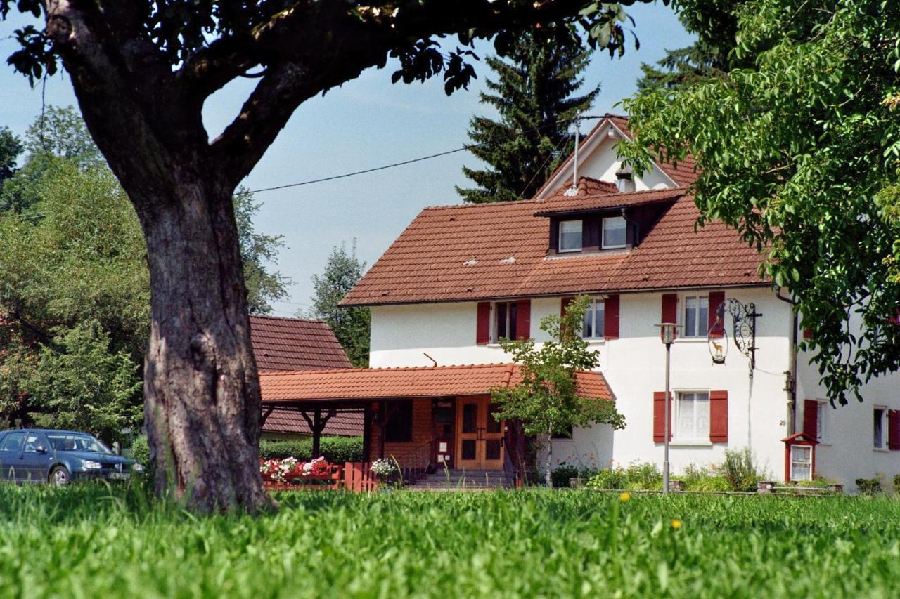 B&B Neukirch - Gasthof zum Hirsch - Bed and Breakfast Neukirch