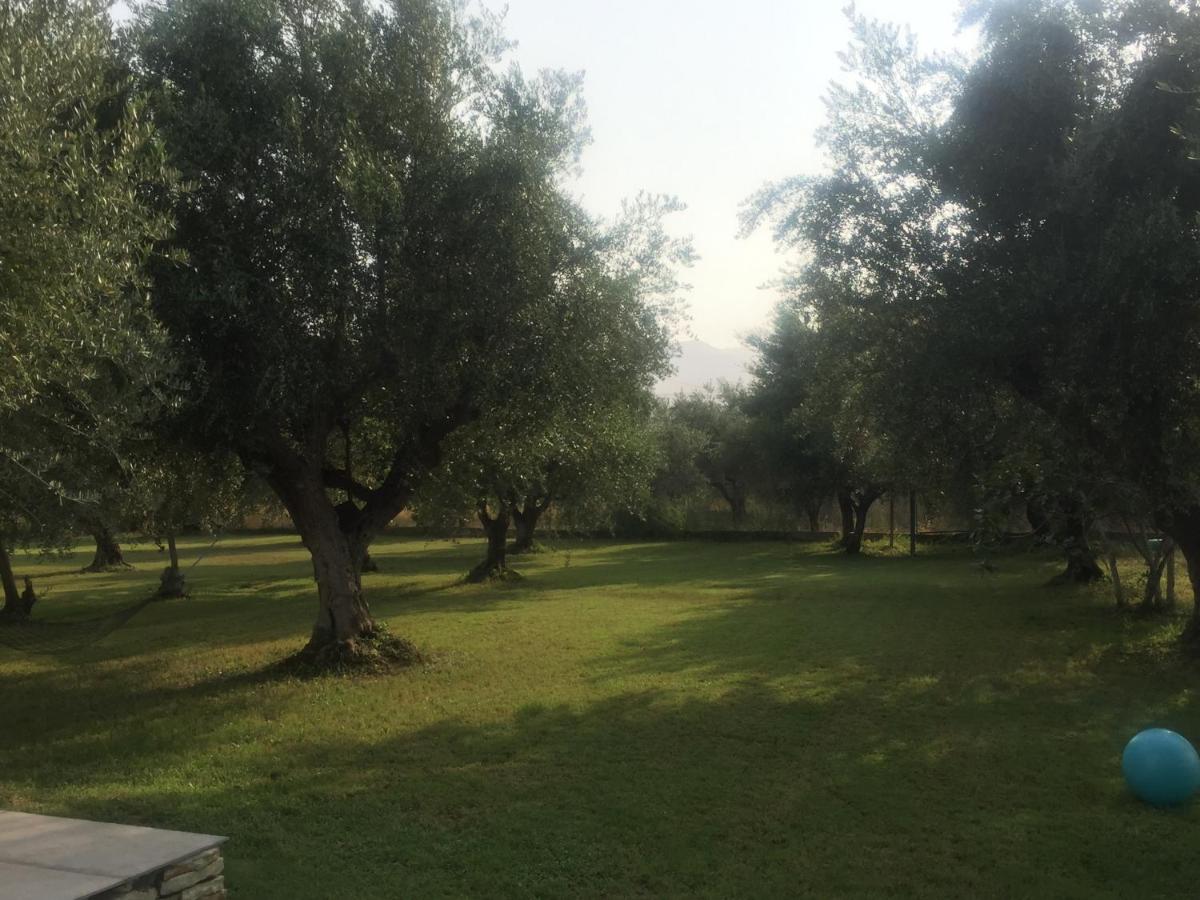 Anastasios Olive Garden Apartments - B&B Petalídi