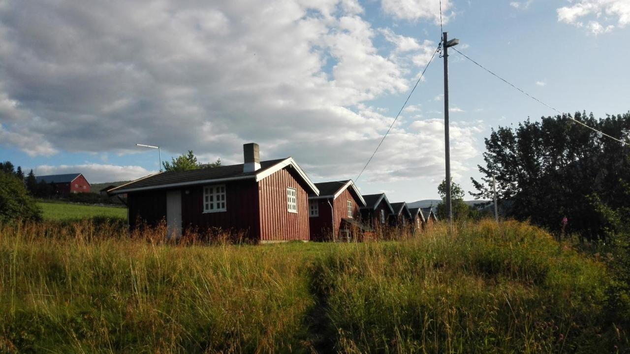 Driva Hytter - B&B Oppdal