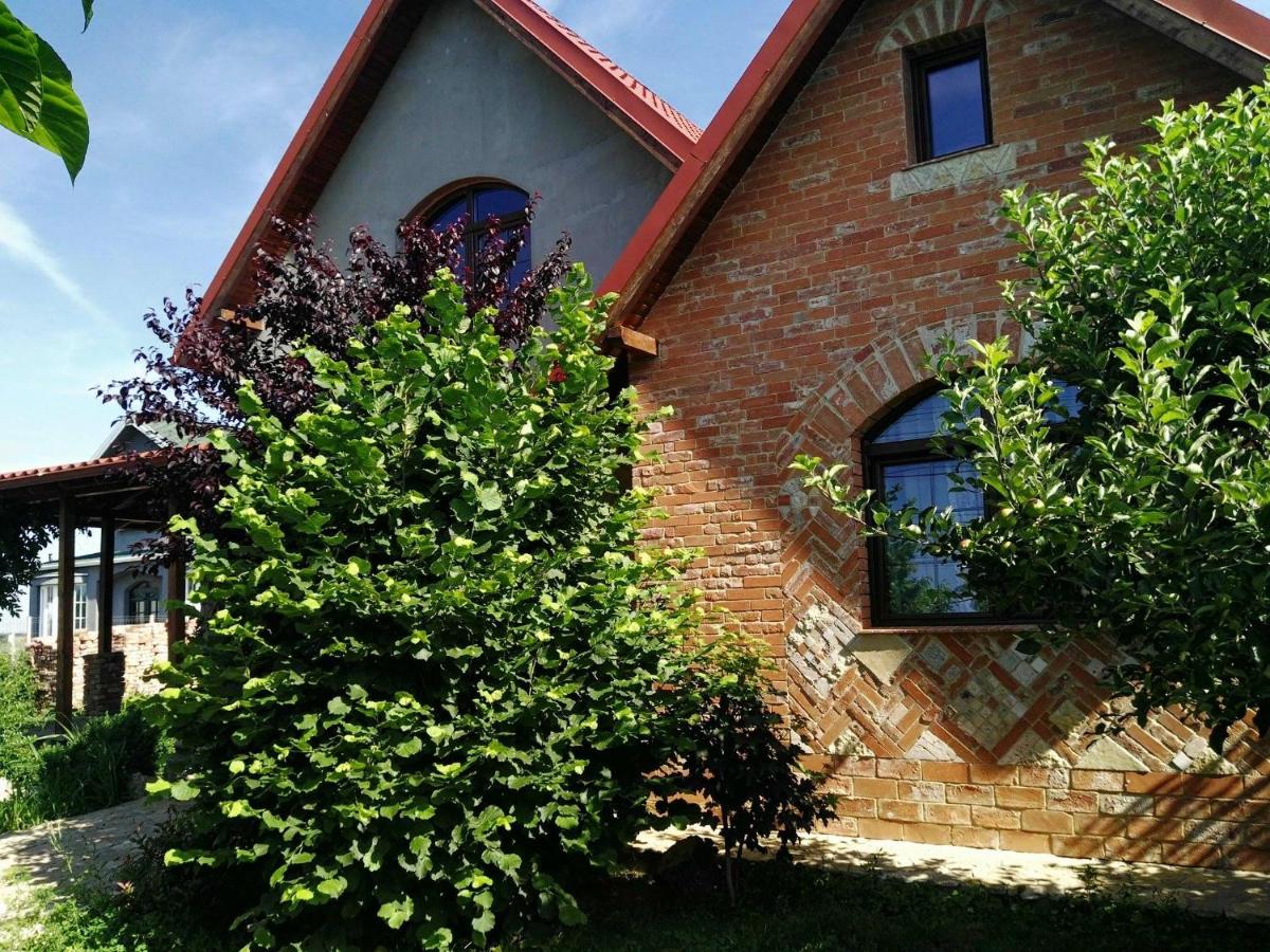 Garden House - B&B Ciorogârla