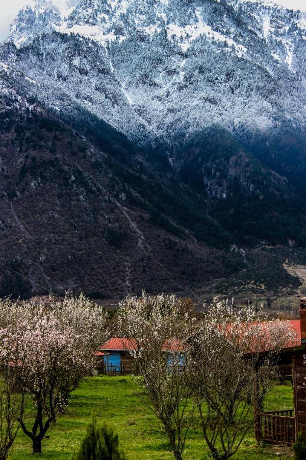 Villa Rustica - Chambres d’hôtes