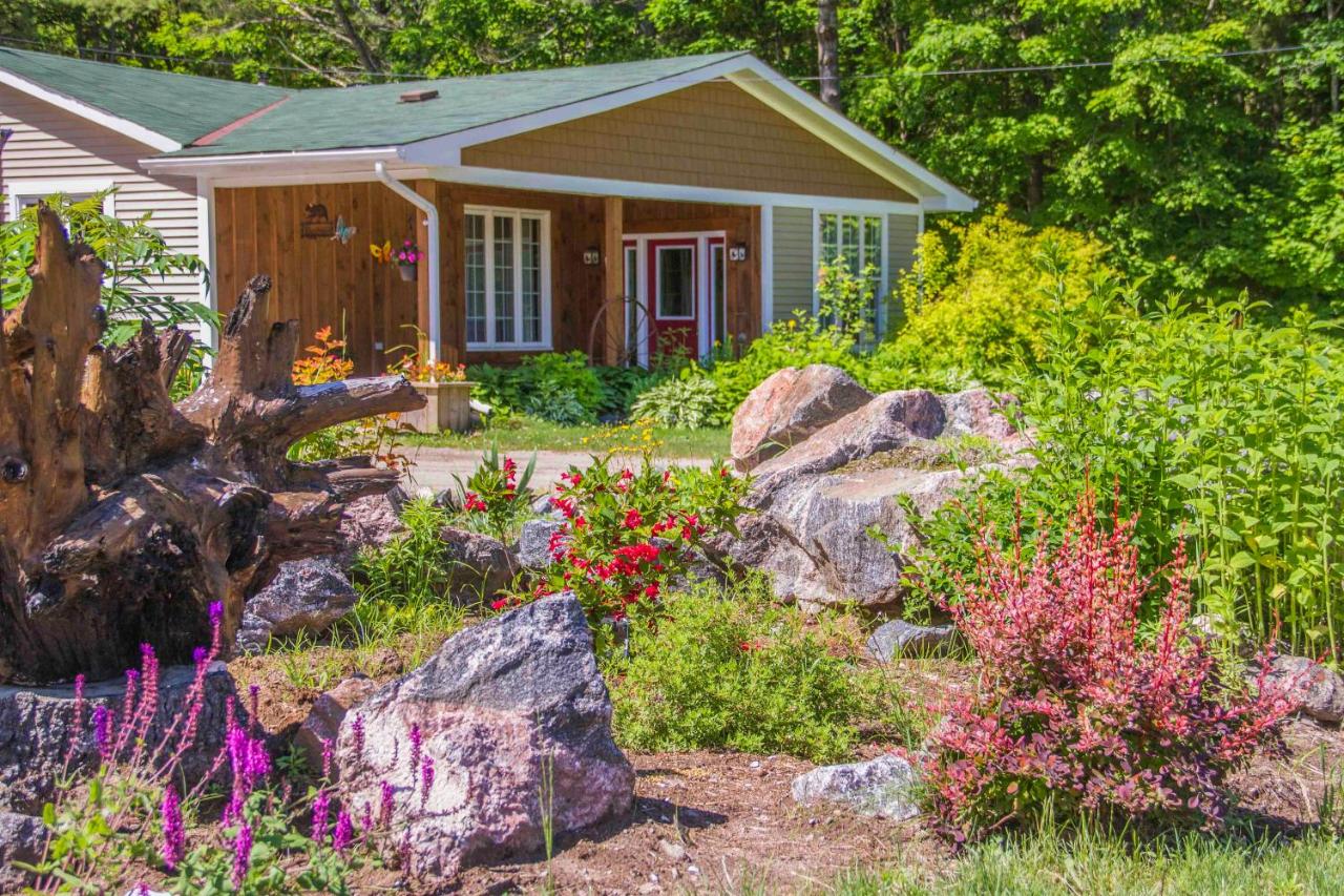 Bear & Butterfly Bed and Breakfast - B&B