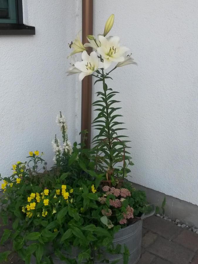 Appartement avec Balcon