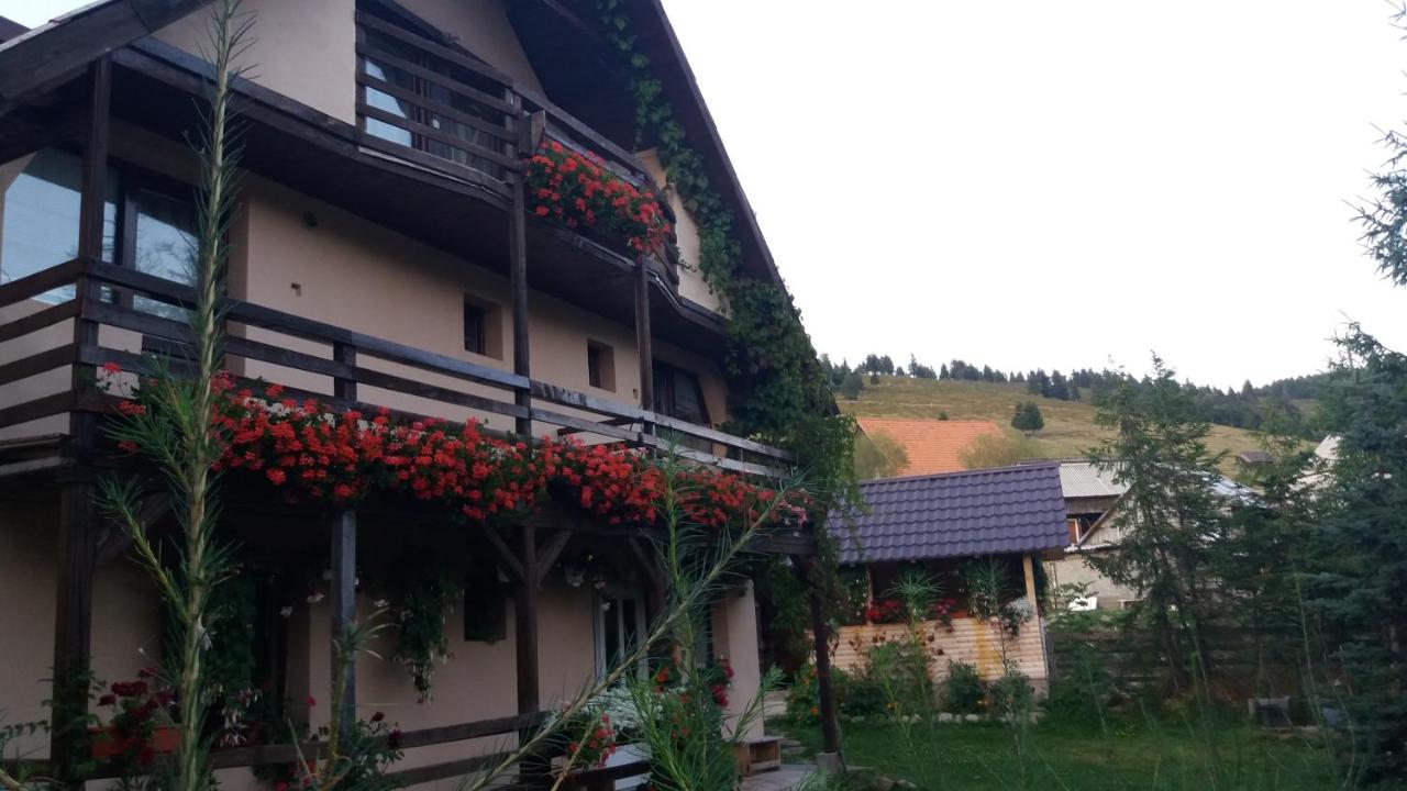 Cabana Ada 2 - Ferienwohnung Vârtop