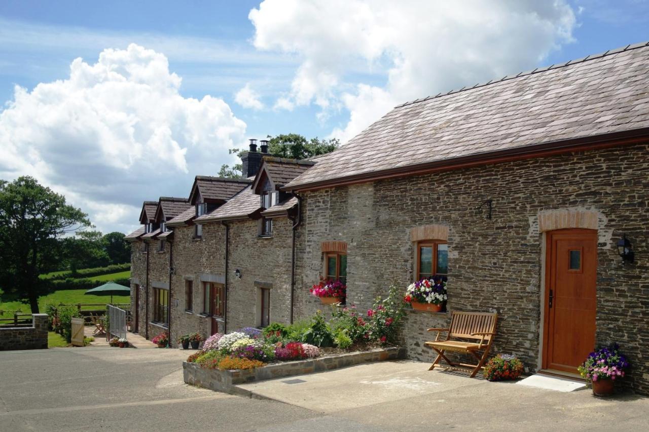 B&B Lampeter - Gwarffynnon - Bed and Breakfast Lampeter