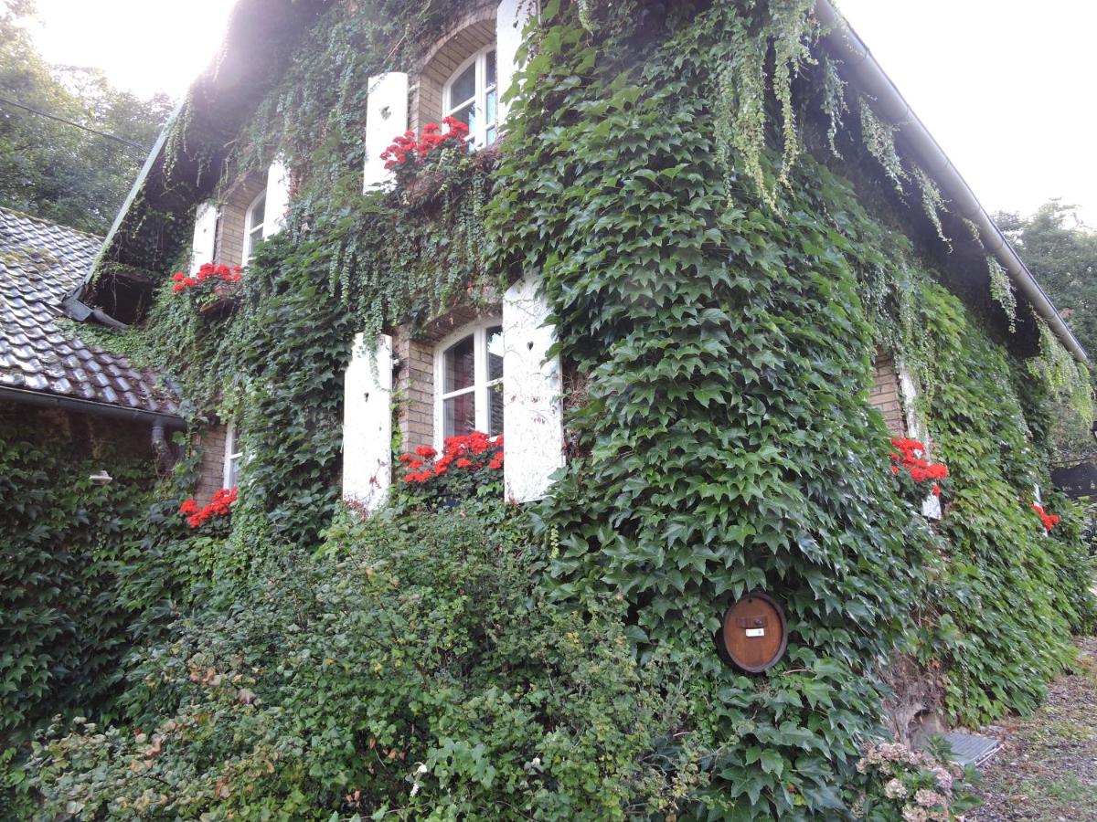 Gîte de l'Ancienne Scierie - Ferienwohnung Andlau