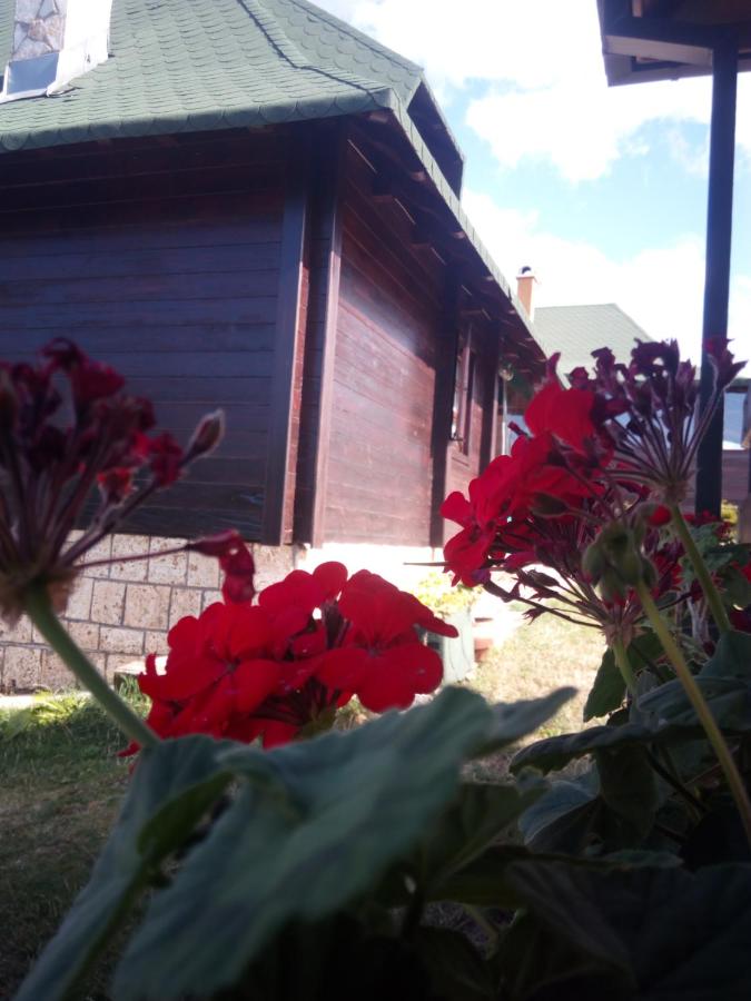 Vila Kraljev sto - Ferienwohnung