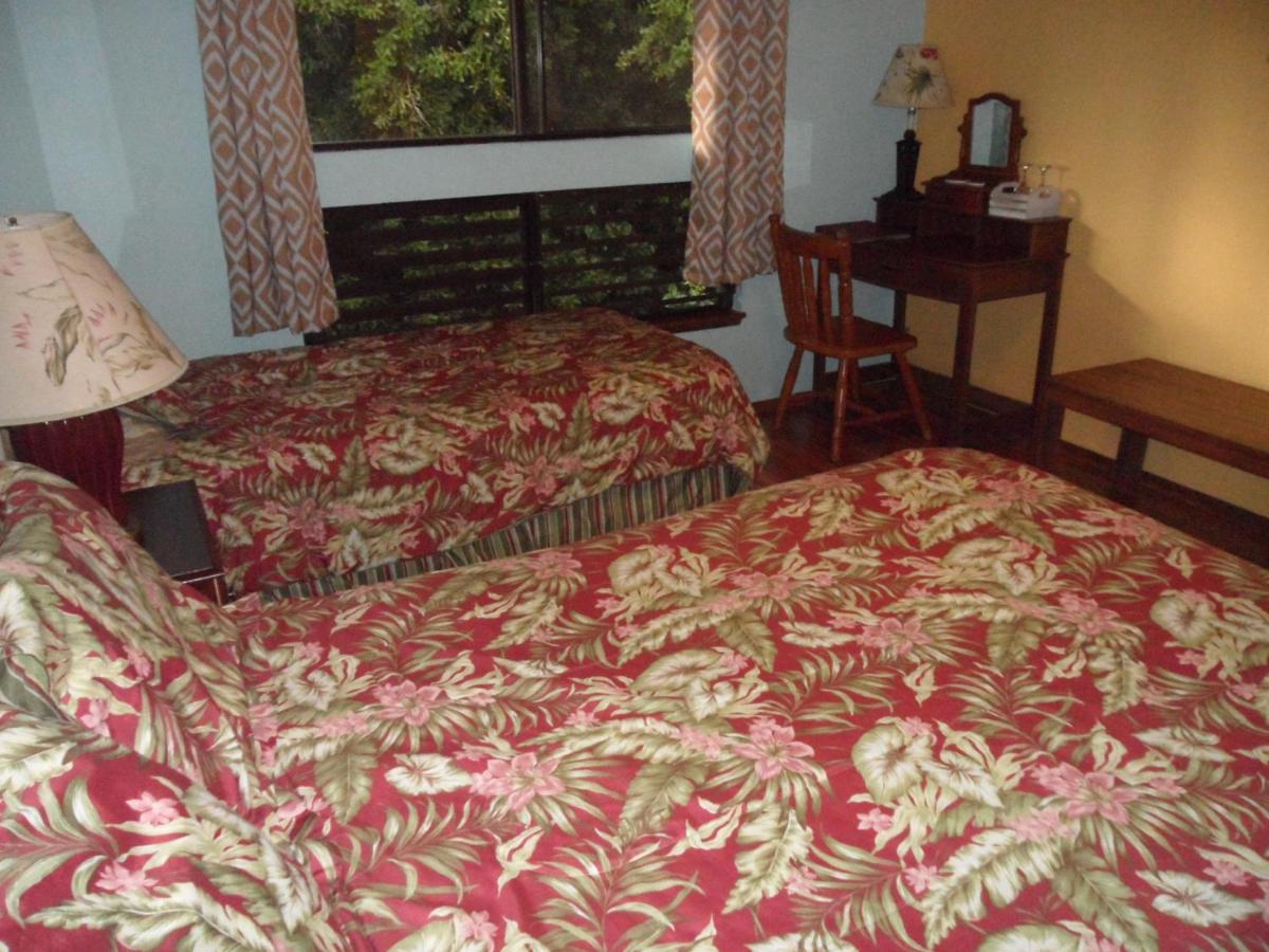 Standard Twin Room with Garden View