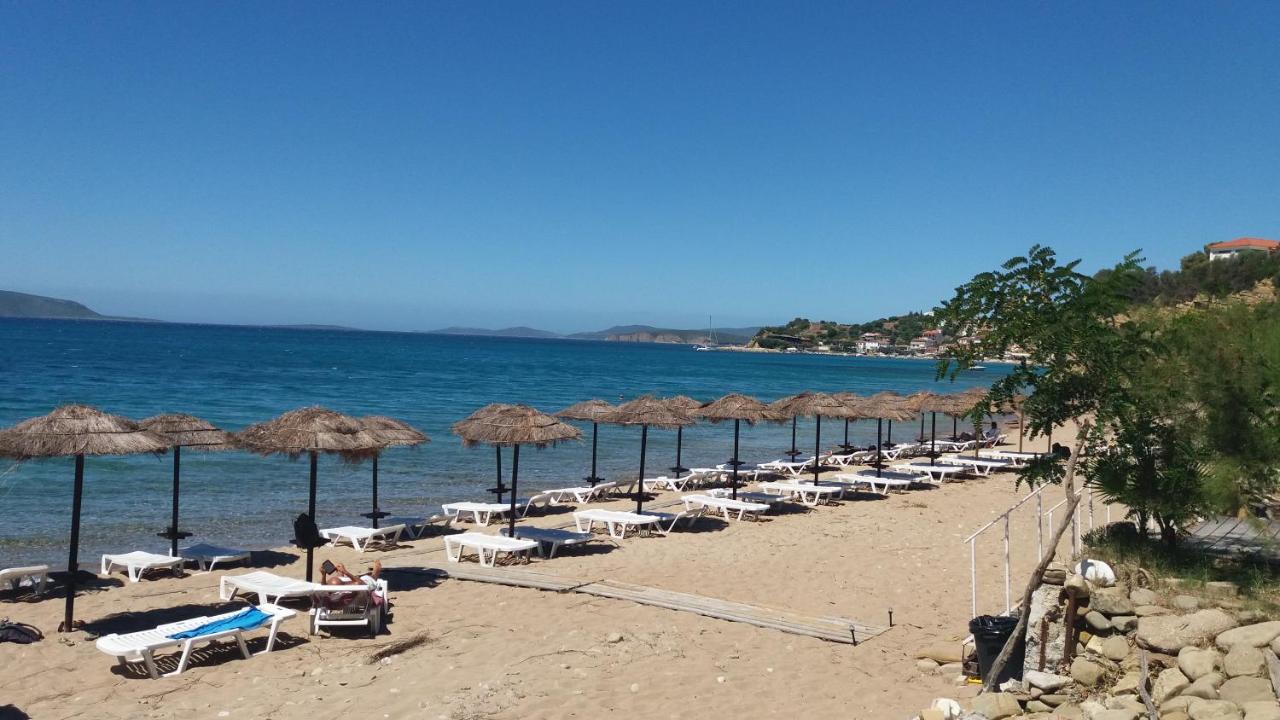 Lemon Tree Cottage - B&B Foinikounta